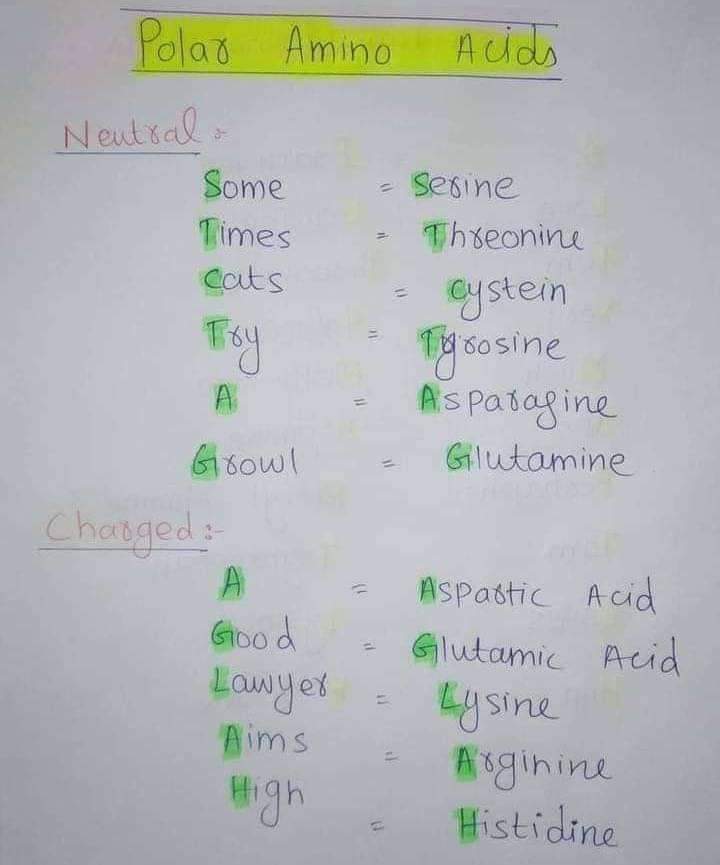 nmdcat_of's tweet image. &quot;Neutral&quot; and &quot;charge&quot; Amino Acid, with tricks 👍👍👍