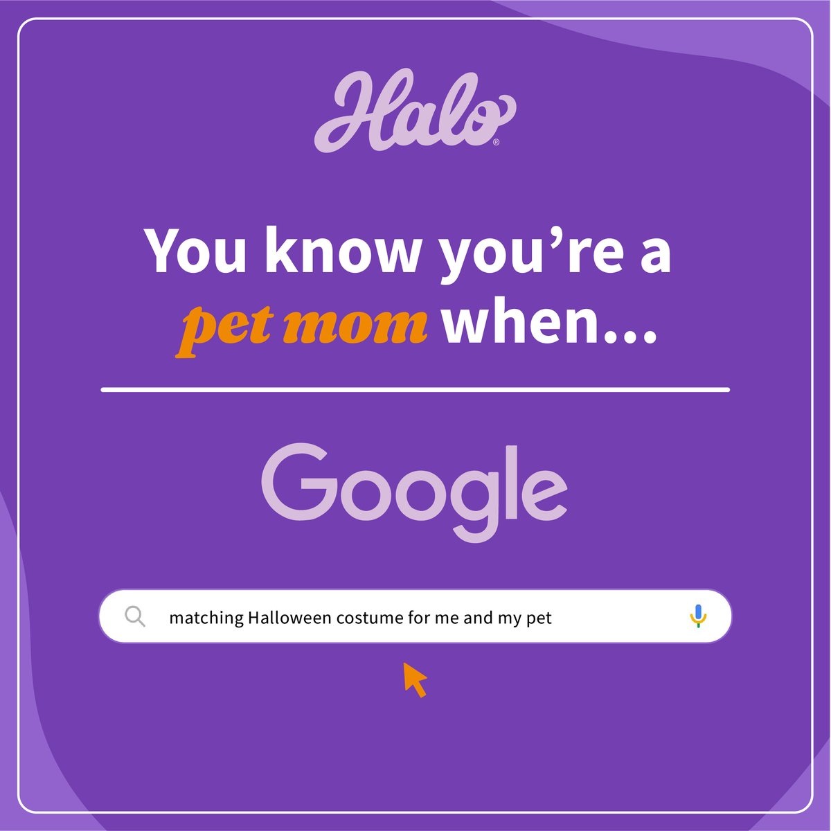 So, what's it gonna be this year, pet moms? 👻 
#halopets #petmom