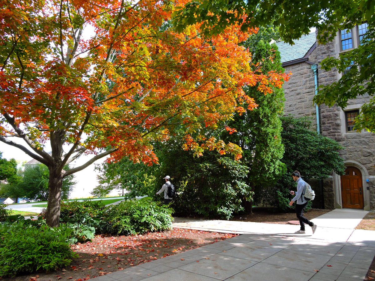 ConnCollege's tweet photo. Peak autumn foliage for #CCFallWeekend. ππ https://t.co/6lqBHcvoQO