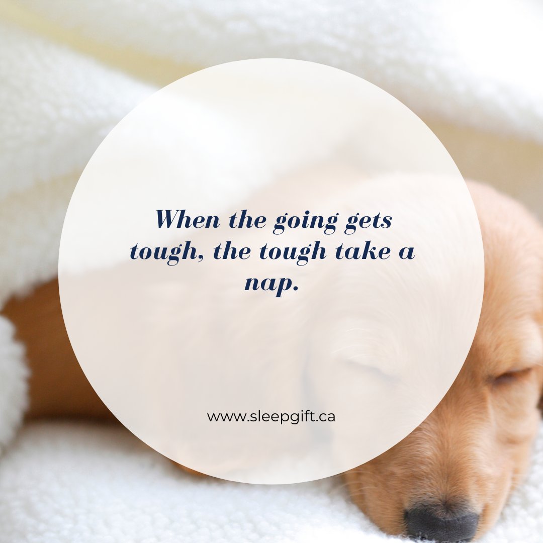 bbholistics's tweet photo. Yes we do! 😎💤

#funnysleepquotes #sleepquotes #quotes https://t.co/DFN9c1UY5z
