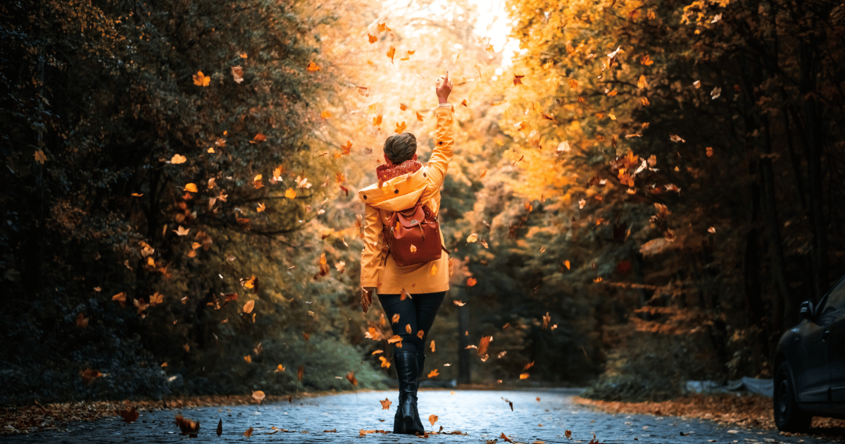 ChristmasMiller's tweet photo. Looking for ways to reset your mind and body and get yourself into a higher vibration?  Read my latest blog post on fall activities to elevate your mindset and vibration! 😃  https://t.co/swQ1fEooom 

#elevateyourvibration #reset #reflect  #sagefroots https://t.co/kPC1ojq4yV