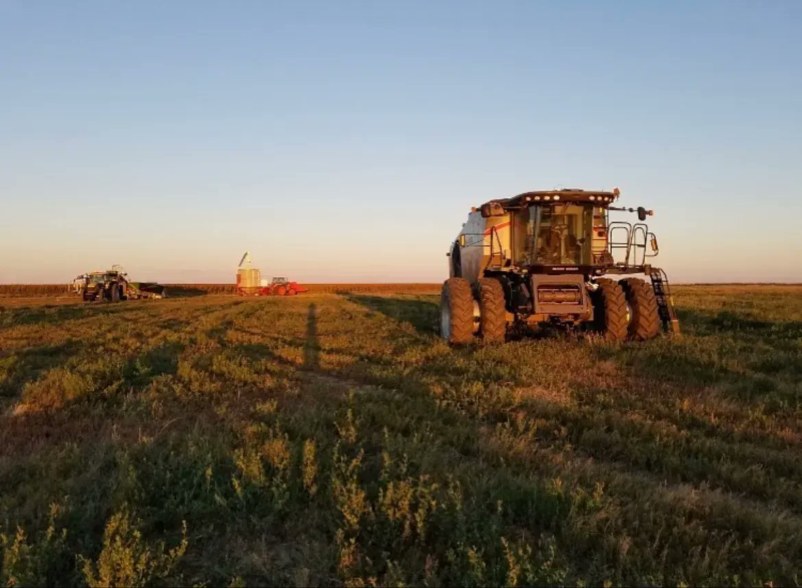 International Hemp tweet media