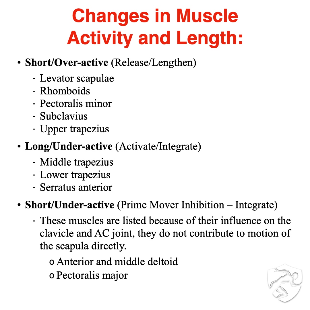 BrookbushInst's tweet photo. 🔴 The Strong Relationship Between Posture and Pain: Scapular Dyskinesis
🧐 For a complete review and bibliography: https://t.co/s2bVftEAkp
#brookbushinstitute #scapula #scapularstability #traps #posture #scapular https://t.co/FfSzrArXFF