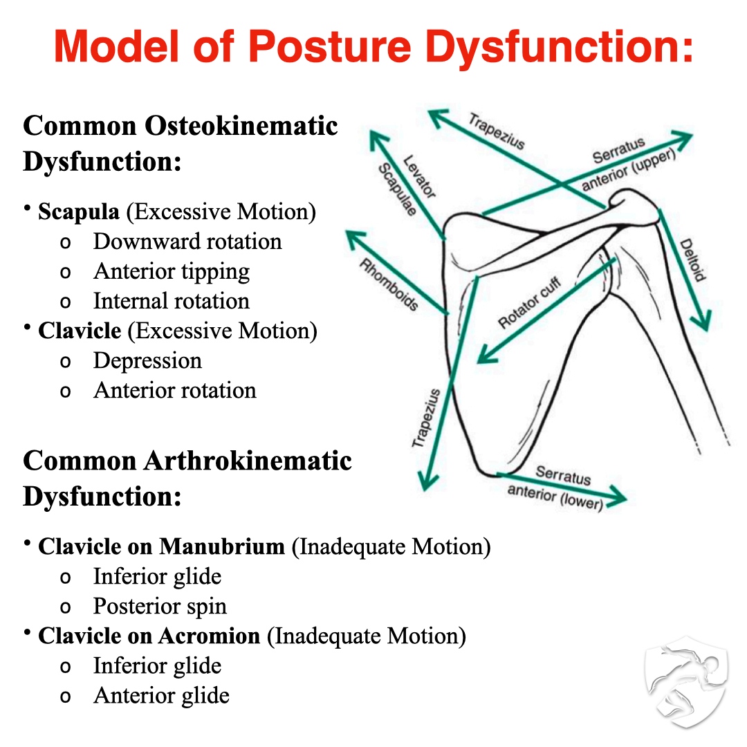 BrookbushInst's tweet photo. 🔴 The Strong Relationship Between Posture and Pain: Scapular Dyskinesis
🧐 For a complete review and bibliography: https://t.co/s2bVftEAkp
#brookbushinstitute #scapula #scapularstability #traps #posture #scapular https://t.co/FfSzrArXFF