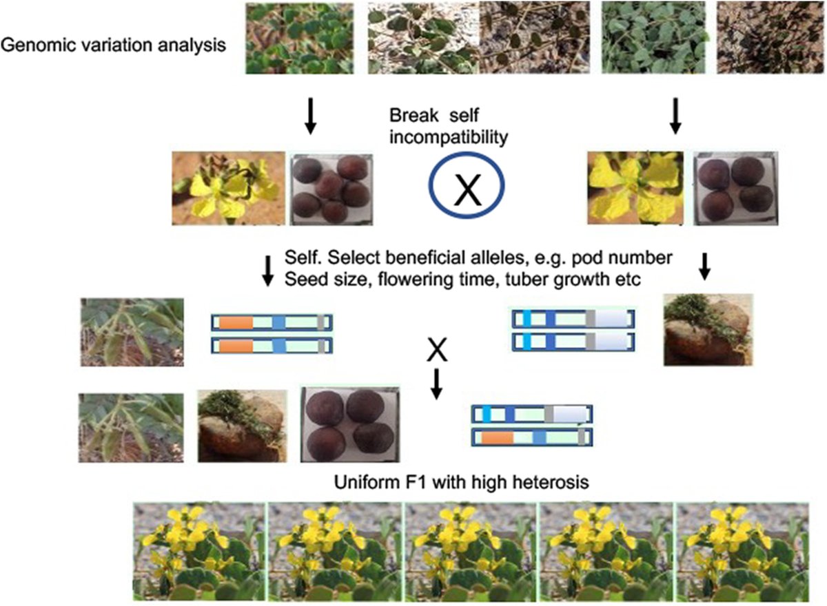 Wiley Ecology, Environment, and Sustainability​​ tweet media