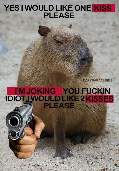 CapybaraClique's tweet photo. yes please https://t.co/KUt2hDA0Ud