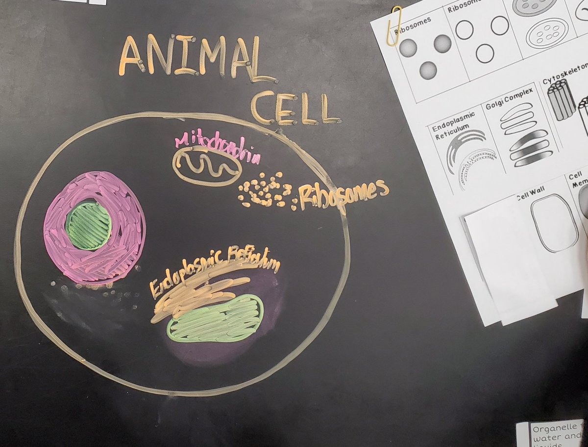 Cynthea Conway tweet media