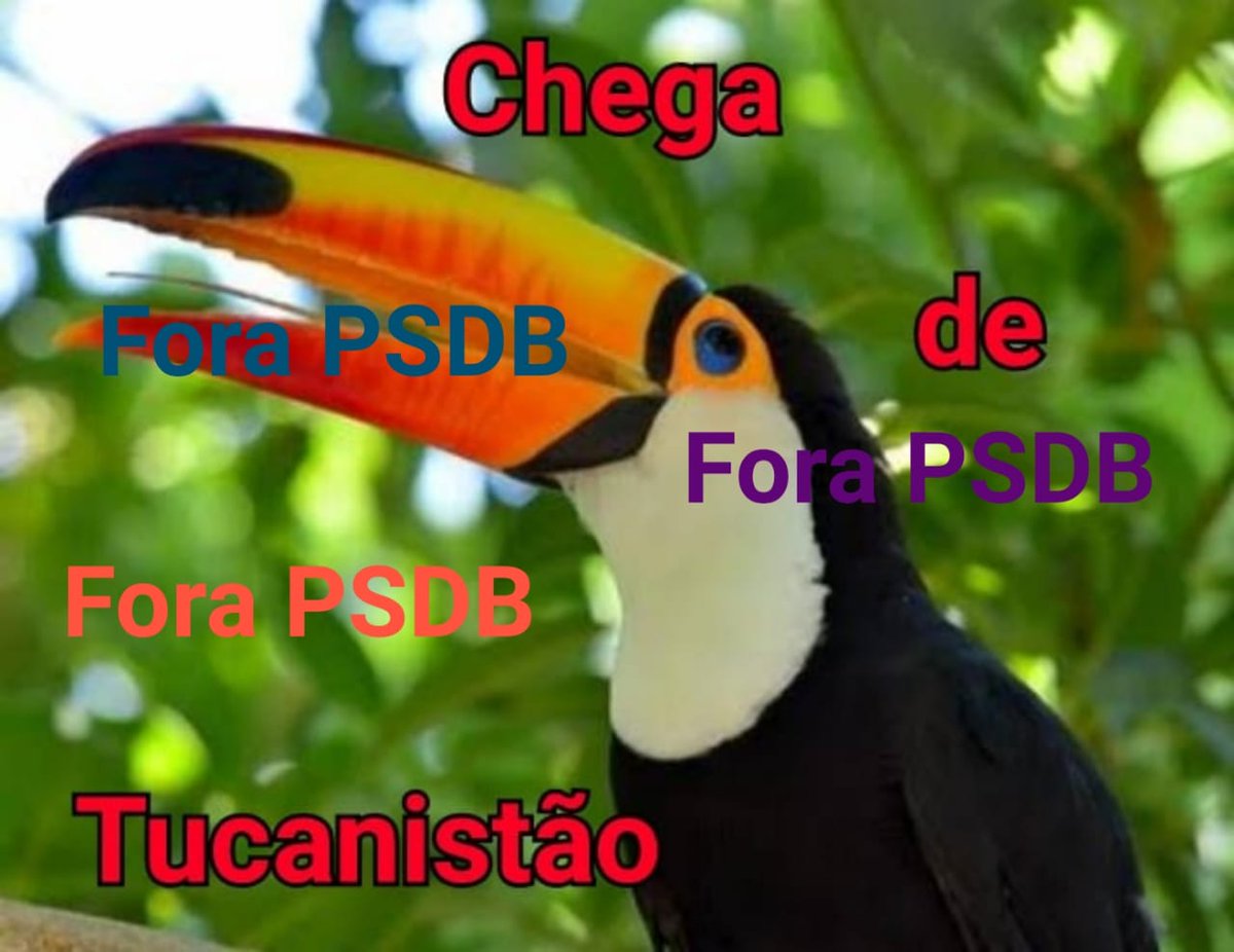 aposentado_sp's tweet photo. #RodrigoGarciaFim https://t.co/H4slJcOQU3