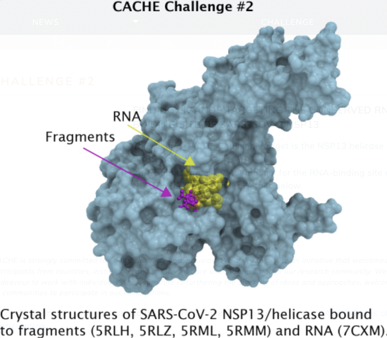 mattschap's tweet photo. CACHE #2 is on! 25 #compchem and #AI experts have 2 months to predict hits for NSP13, an important and challenging #COVID target. We will procure and test the compounds experimentally @thesgconline and publicly share methods and data. https://t.co/dB0XiDLFta https://t.co/FHkzP1AHbu
