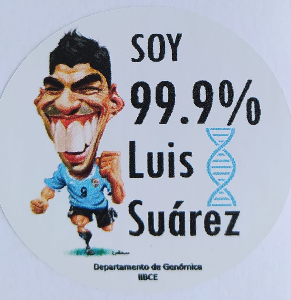 Departamento de Genómica (@genomicaiibce) on Twitter photo Los invitamos al <a href="/IIBCE/">Instituto Clemente Estable</a> Abierto mañana a partir de las 14:00 hs, vamos a tener un stand con juegos y stickers. Además podés visitar nuestro laboratorio en una charla guiada. Toda la info en cutt.ly/eVFQvhR
Los esperamos! Los invitamos al <a href="/IIBCE/">Instituto Clemente Estable</a> Abierto mañana a partir de las 14:00 hs, vamos a tener un stand con juegos y stickers. Además podés visitar nuestro laboratorio en una charla guiada. Toda la info en cutt.ly/eVFQvhR
Los esperamos!