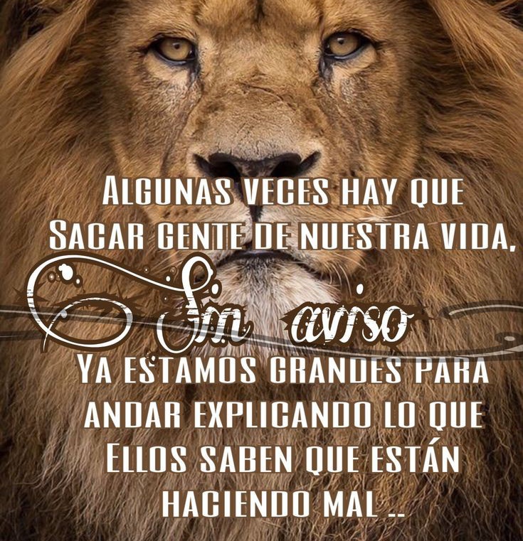 INICIAMOS DINÁMICA 

™️🔰SOLO PRINCIPALES🔰

V I E R N E E E E S‼️‼️‼️

       3⃣0⃣🔸9⃣🔸2⃣2⃣
        #AdiosSeptiembre 
             #TweetON🐦

Excelente Inicio de #FinDeSemana 
                                      para TOD@S 🍷