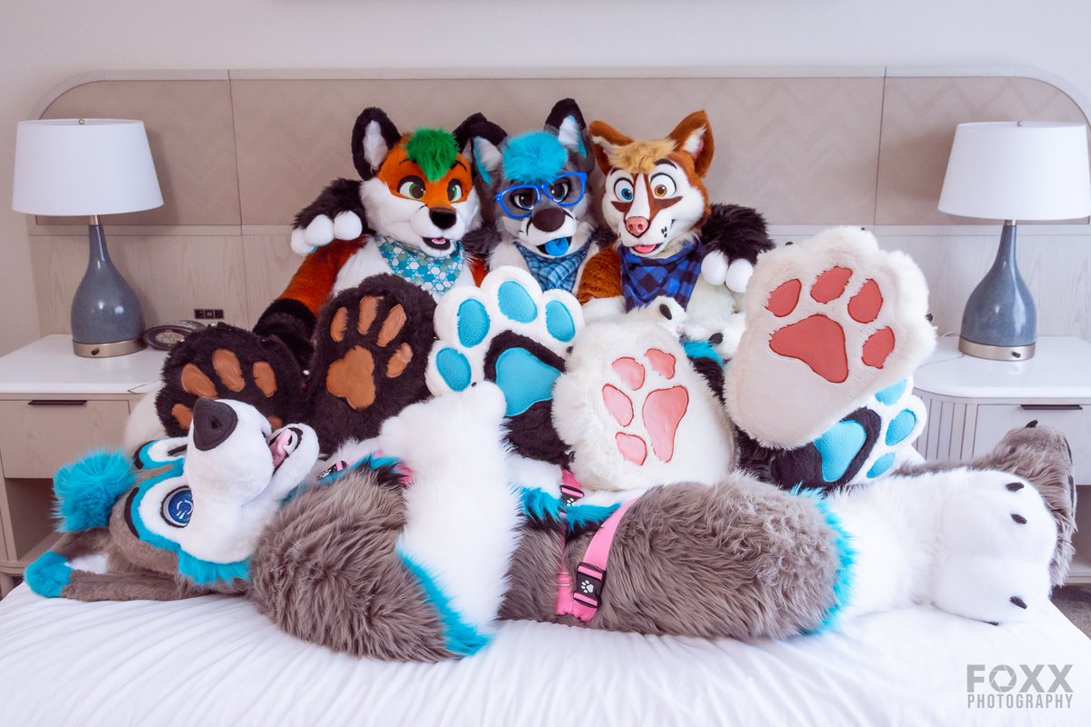 AzurelHusky's tweet image. I'm in 🐾 heaven 🥴
📸 @maxxthefoxx &amp;amp; @keatonfoxx

 #FursuitFriday #Megaplex2022