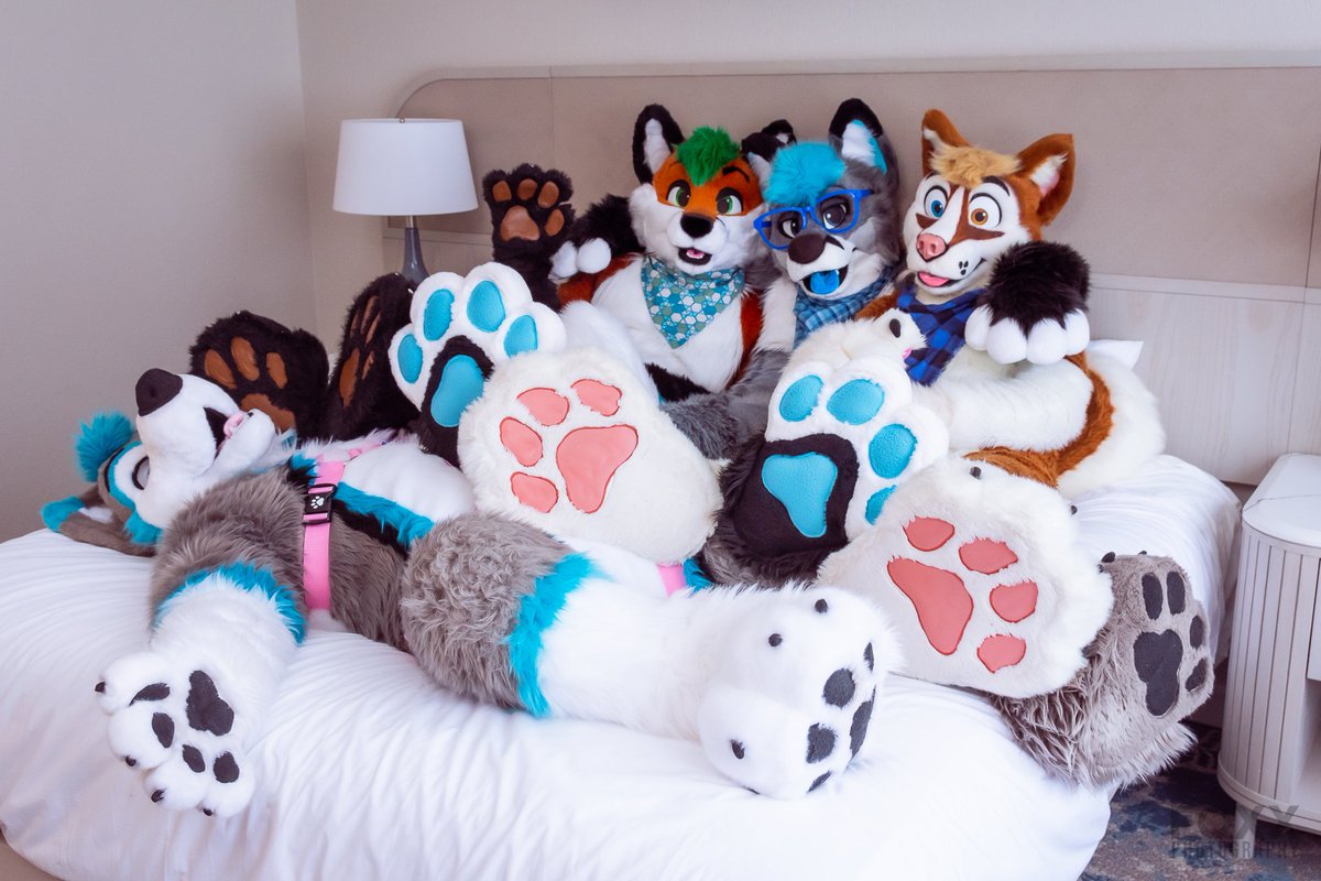 AzurelHusky's tweet image. I'm in 🐾 heaven 🥴
📸 @maxxthefoxx &amp;amp; @keatonfoxx

 #FursuitFriday #Megaplex2022