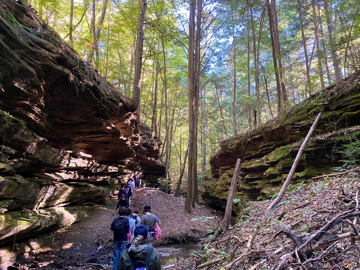 Nothing beats Camp McDowell! 
☀️🧗🏽‍♂️🌿⛺️🪶🐛🚣🏼‍♂️🐾🪲🦅
#lmslions #mcslearn