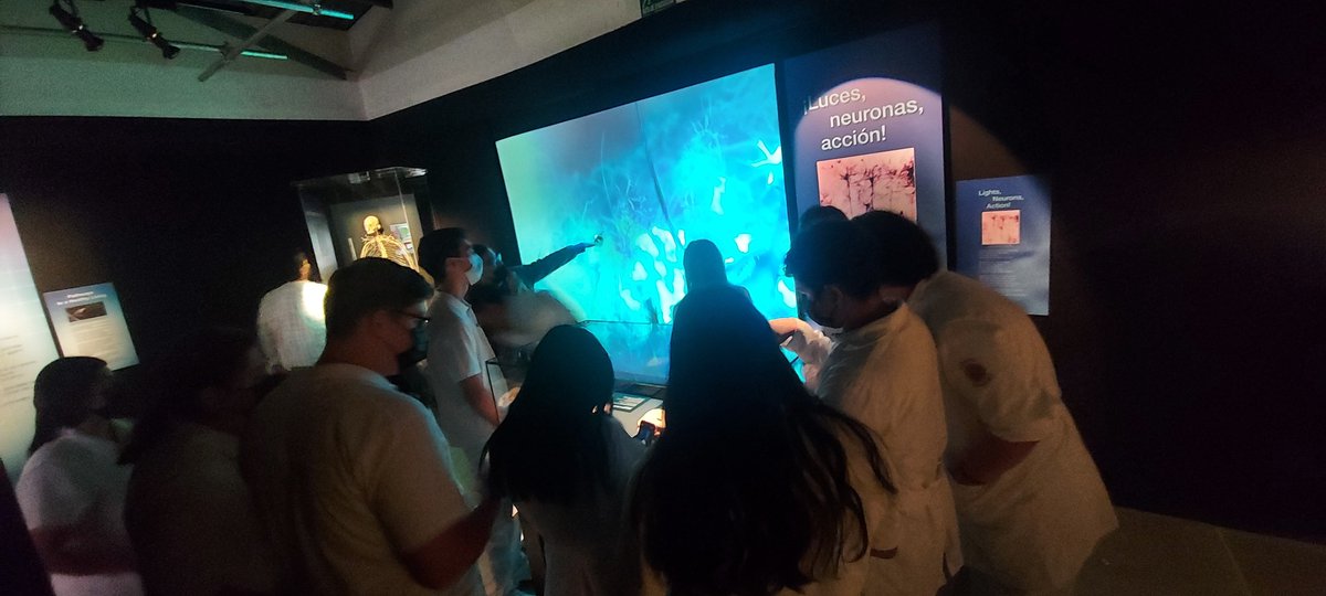 SociologistaNo1's tweet photo. Jose Luis lo vuelve a hacer ♡ un gran guía en el recorrido por #BodyWorlds, de @iicmuseouabc https://t.co/nOrX7kLhoN