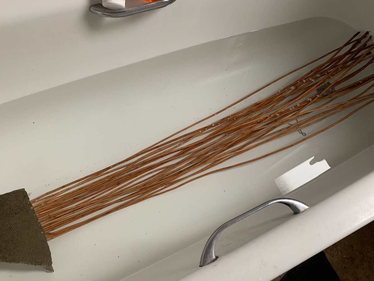 miriam_storey's tweet photo. It’s #FunPalaces eve so of course, I’m soaking withies in the bath because I’ve had a very last minute idea to use them for a craft tomorrow!
@FunPalaces #FridayNight #Willow #CommunityCraft https://t.co/96NspP6JUf