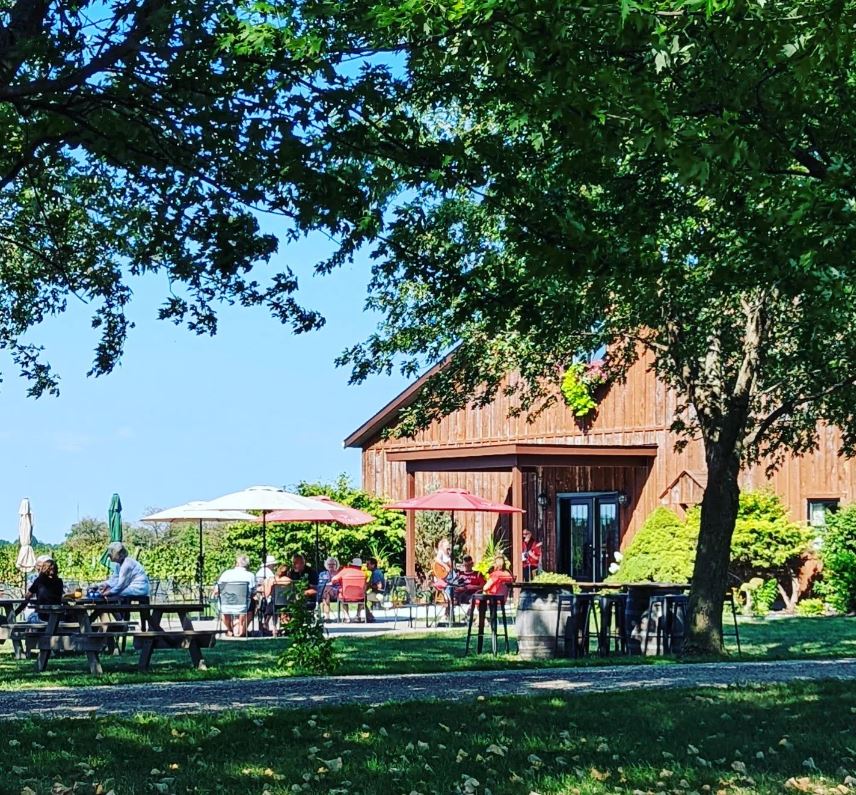 Planning a celebration or a mini-getaway, visit Ontario's wine country. From tours, to tastings, to restaurants, our family-farm wineries offer a little something for everyone, all you have to do is visit. See you soon in <a href="/WineCountryOnt/">Wine Country Ontario</a>!
📷 <a href="/VivaceWinery/">Vivace Estate Winery</a>