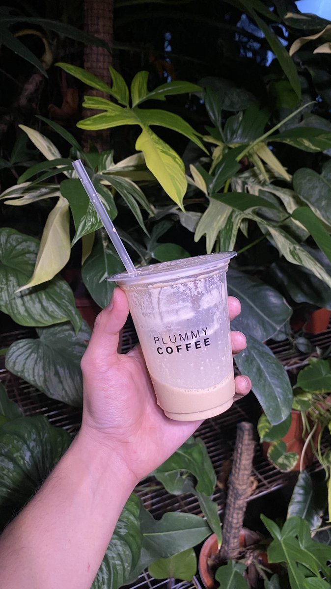 Yang selalu memberi asupan acidity di malam hari