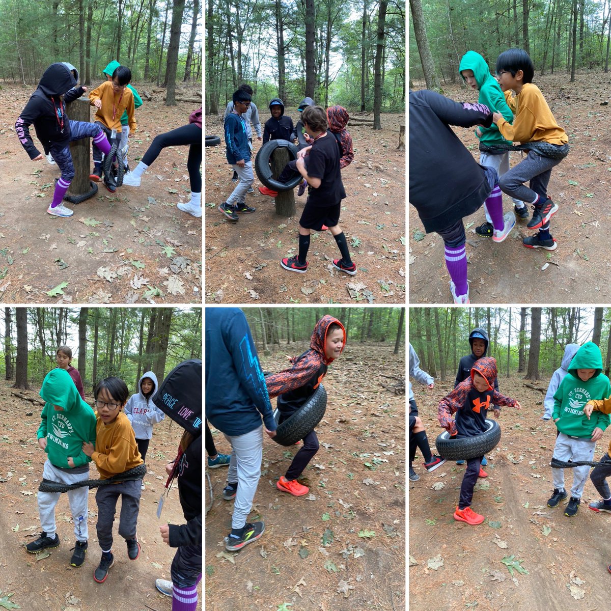 Maria Santodonato tweet media