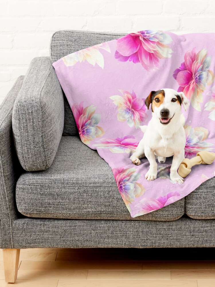 inart_shop's tweet photo. New Stuff for Pets is here! Bandanas, blankets, and bowls with purr-sonality:
https://t.co/gaZX48Egtk, https://t.co/6uN8mKTqhX, https://t.co/0SMP58YNA5, https://t.co/wmOFPw38At
#UkrainianArtist #PetStuff #GiftForPets #GiftIdea #ArtistDesign #Pattern #pet #acessories #decoration https://t.co/eoKfT6oOWH