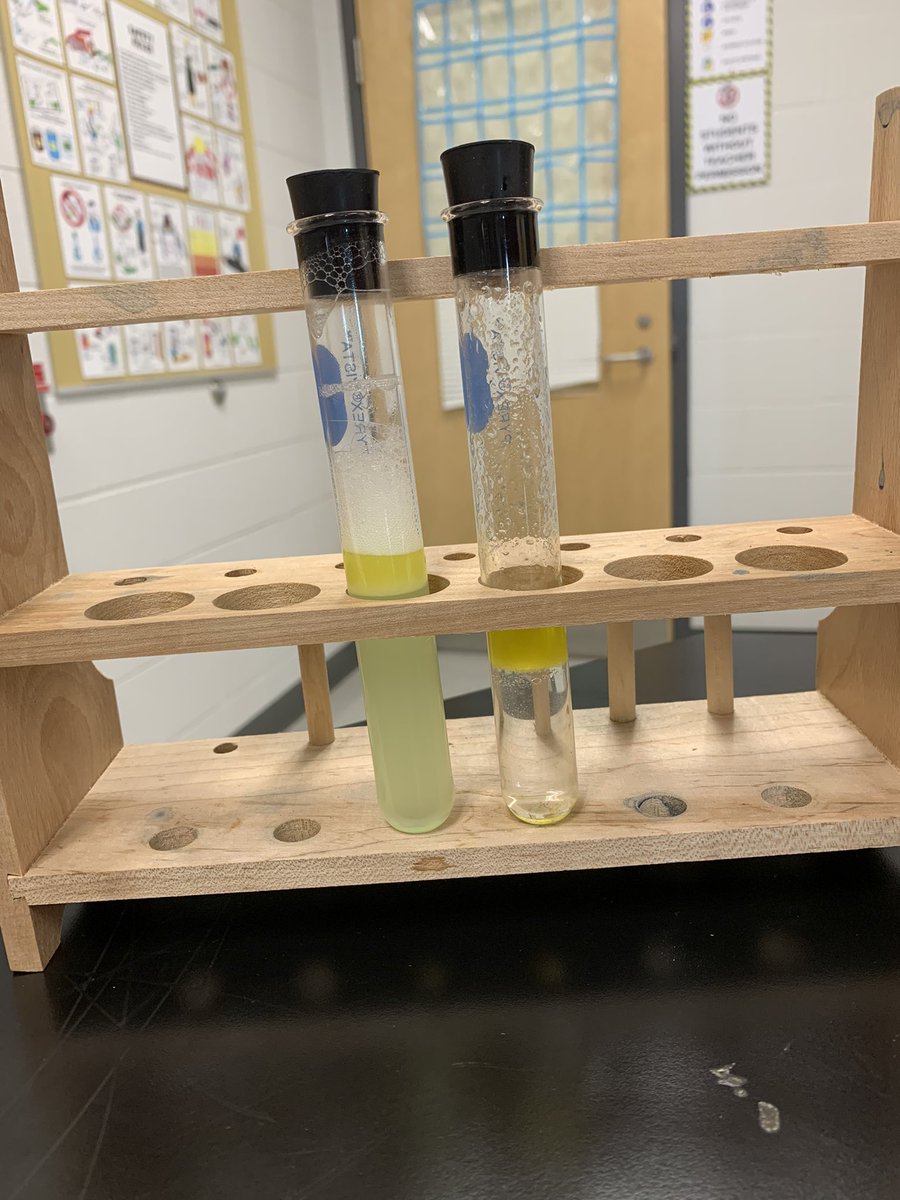 Ms__Howard's tweet photo. How does soap work? A simple, yet great activity that always results in lightbulb moments for many students. #SCH4C #STEM π‘π§Όπ’π§ͺ https://t.co/xe5x3Y69rY