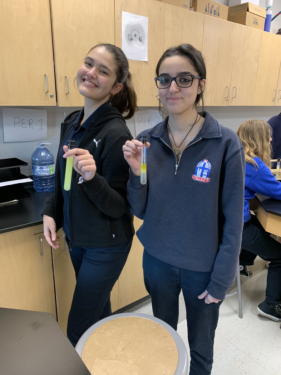Ms__Howard's tweet photo. How does soap work? A simple, yet great activity that always results in lightbulb moments for many students. #SCH4C #STEM π‘π§Όπ’π§ͺ https://t.co/xe5x3Y69rY