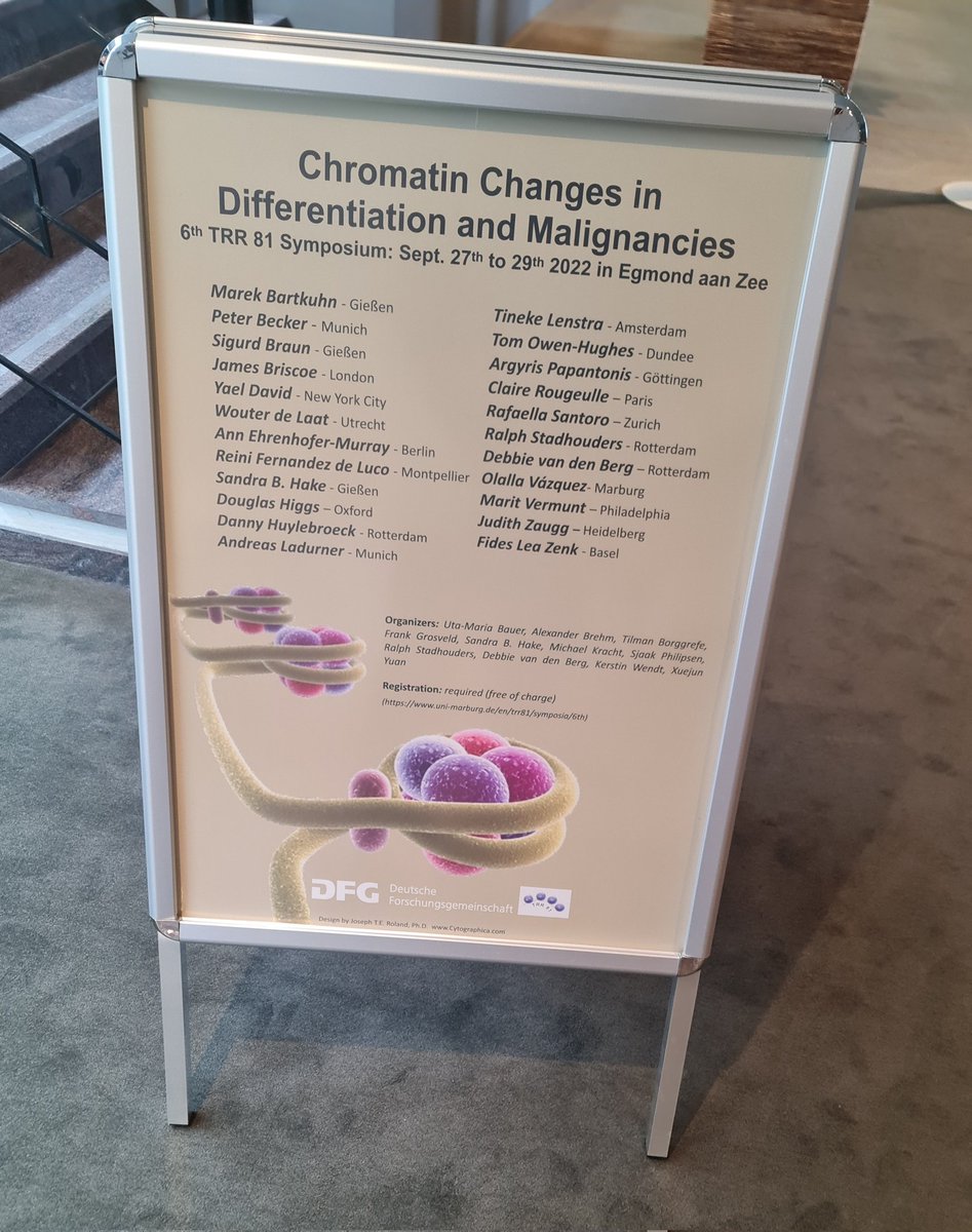 TFried_BioInfo's tweet photo. I had a great time in Egmond aan Zee at the 6th #TRR81symposium. Thanks to all the speakers for the great and interesting presentations and to all the organizers involved for such a nice conference. #Chromatin https://t.co/OkyqzsYif1
