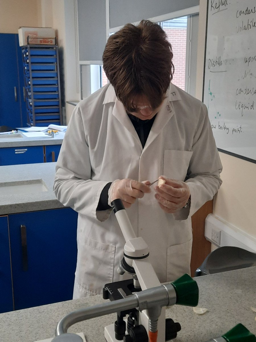 BioloGem's tweet photo. My T-Level Science students planning, risk assessing and carrying out their first practical... they will be ready for the workplace in no time!  #lovescience #lovebiology #loveSTEM #Tlevelscience https://t.co/qr67HKK0I0