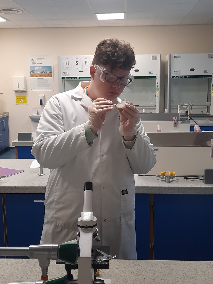 BioloGem's tweet photo. My T-Level Science students planning, risk assessing and carrying out their first practical... they will be ready for the workplace in no time!  #lovescience #lovebiology #loveSTEM #Tlevelscience https://t.co/qr67HKK0I0