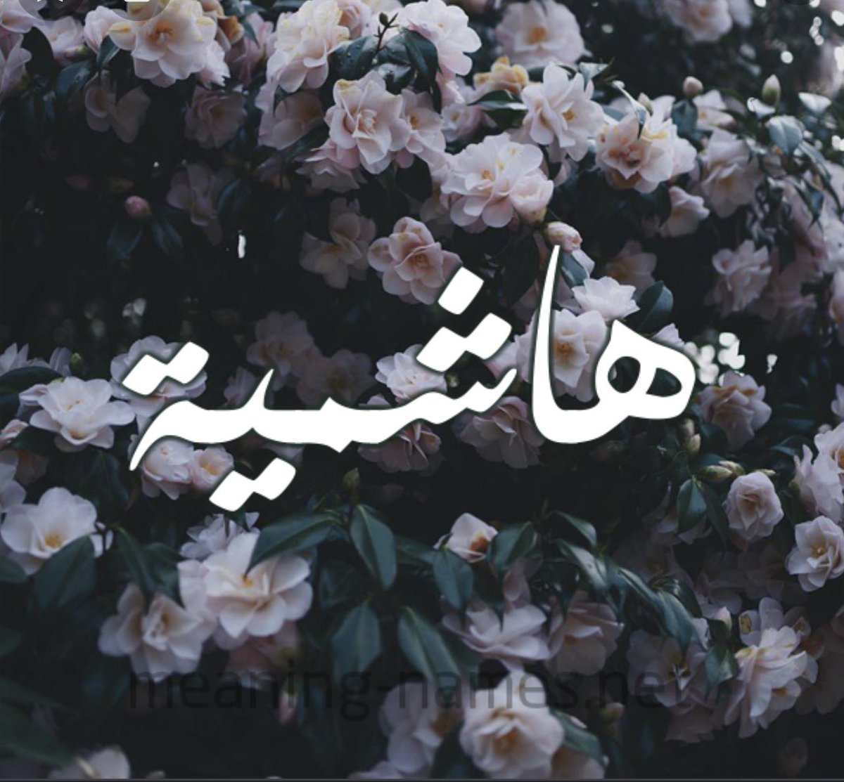 RhzMo's tweet photo. ماحد كفو يحاسبني على النقص والزود وماحدن شرالي فرحتي من حلاله https://t.co/8GHUumV76l