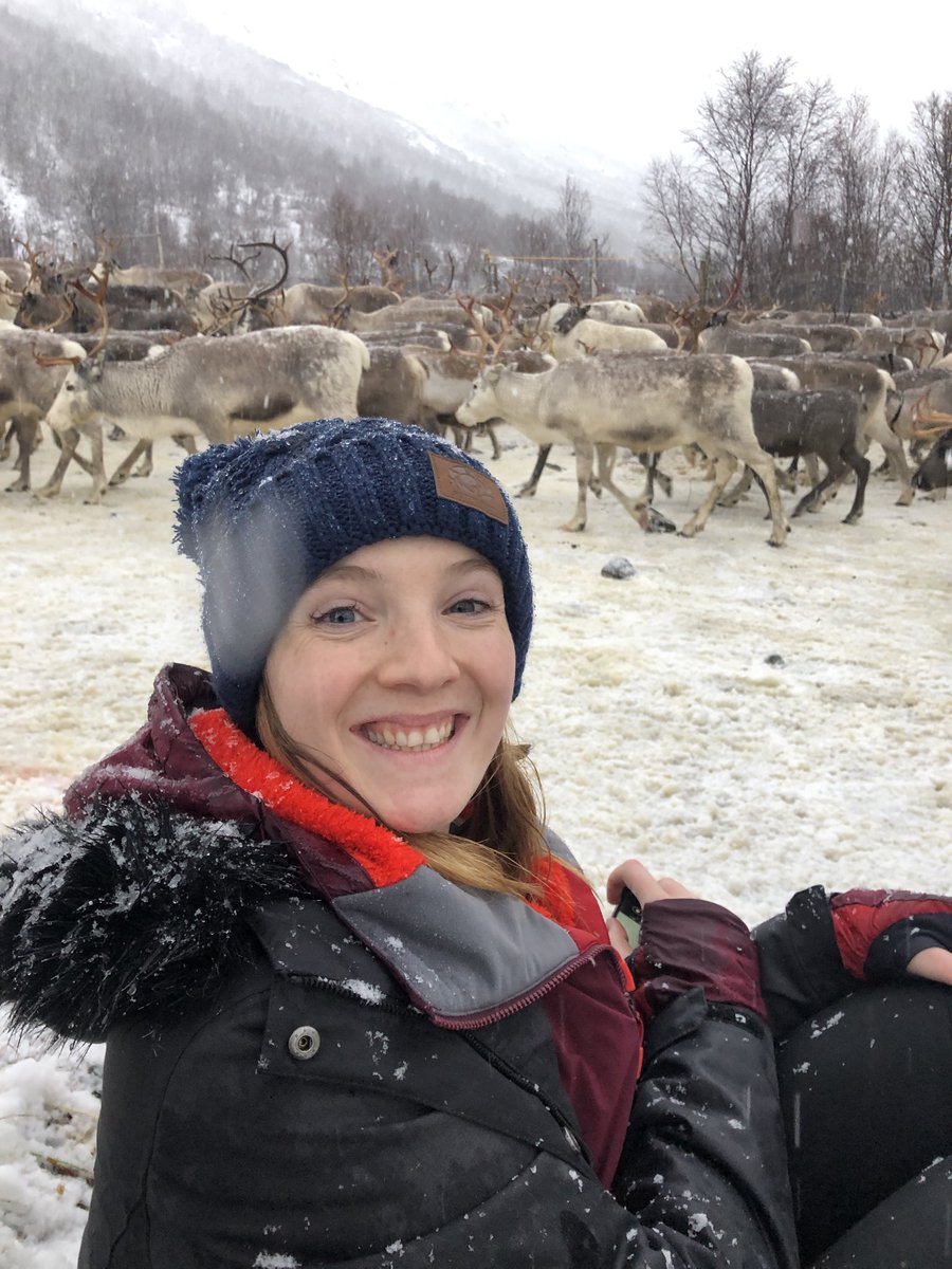 Maramedia tweet media