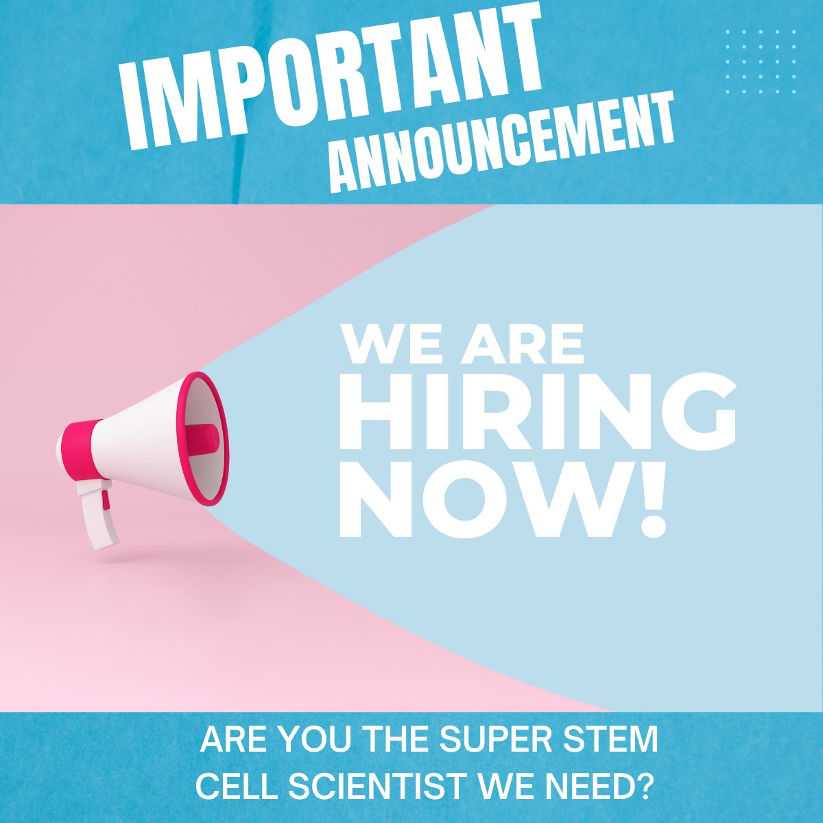 DefinedBio's tweet photo. Defined Bioscience is hiring a Research Associate or Scientist for Stem Cell R&amp;D! If you or someone in your network is motivated to join a growing startup in San Diego, check out our job posting on LinkedIn.
https://t.co/GHqTaICnAp https://t.co/Q00GXZf6pd