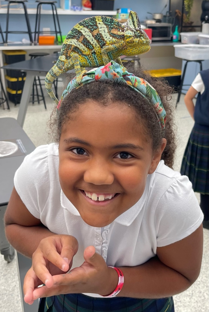 Blessed10023's tweet photo. Friday fun in Mr. Hβs classroom!π€© #sbsnyc #sbscommunity #experienceatsbs #manhattancatholicschools #archnyschools #archny_schools #adny #catholicschools #applications #students #teachers #preK #learning #education #school #creativity #love #faith https://t.co/oReoEo5tEs