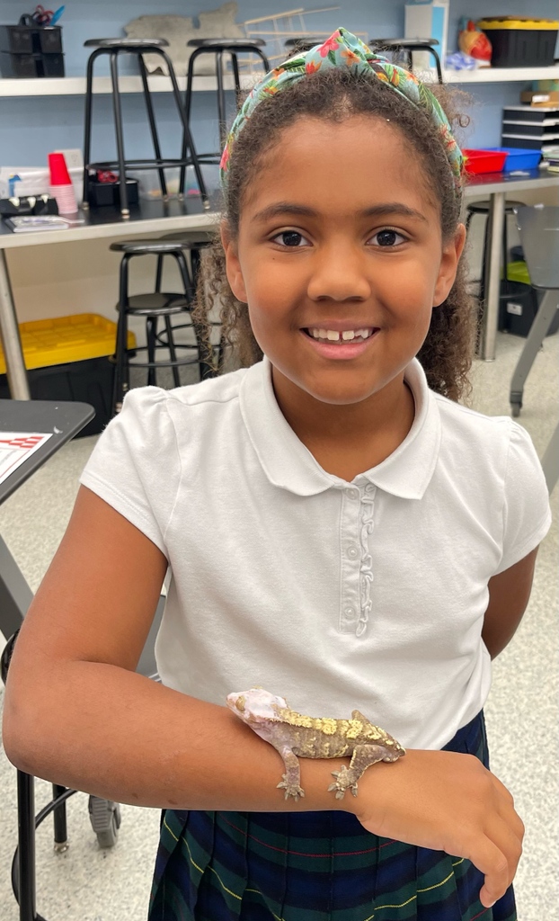 Blessed10023's tweet photo. Friday fun in Mr. Hβs classroom!π€© #sbsnyc #sbscommunity #experienceatsbs #manhattancatholicschools #archnyschools #archny_schools #adny #catholicschools #applications #students #teachers #preK #learning #education #school #creativity #love #faith https://t.co/oReoEo5tEs