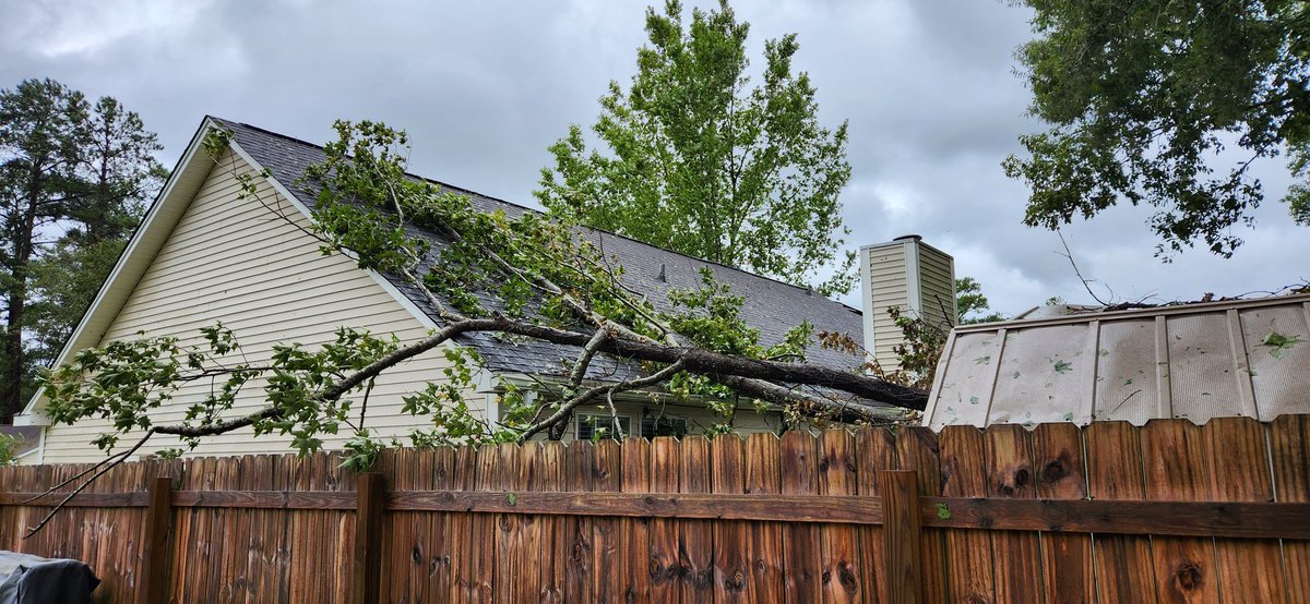 Charleston Weather on Twitter "RT phillipsshannon Tree down on a