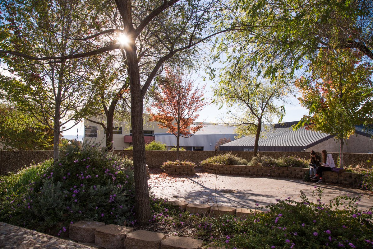 buttecollege's tweet image. Butte College received a significant boost to support Latinx &amp;amp; low-income students thanks to a $3 million grant from the @usedgov DHSI Program. The grant will fund the CASA project &amp;amp; provide comprehensive support for student success, completion &amp;amp; transfer.
butte.edu/feeds/2022/hsi…