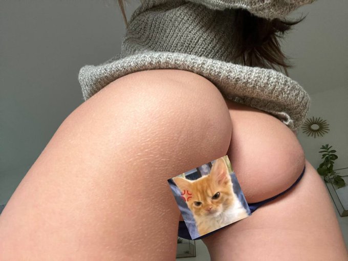 Get access to my OnlyFans now and I will send you this picture without angry kitty 😈😈😈(uncensored)  https://t