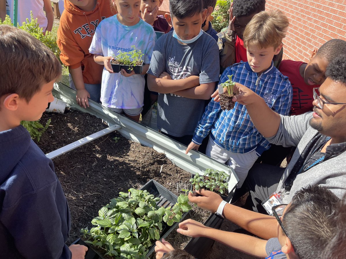 It fills our hearts to see the garden space we created being used by <a href="/HumbleISD_HE/">Humble Elementary</a> students ❤️😊 Mr. Collins’ and Mrs. Saenz’s class added plants today! 🌿  #pto #humbleisd #wearethelight #gardeningforkids