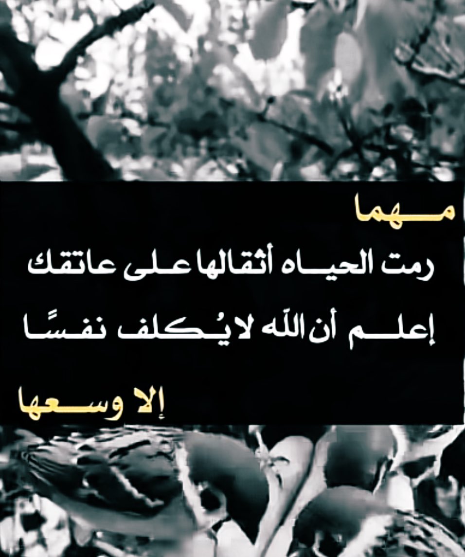 Mrz11_'s tweet photo. #قروب_المسافر_فهد 
#قروب_مناوي_للدعم
#قروب_جنون_للدعم
#قروب_عيد_المطيري 
#قروب_الكواسر_للدعم https://t.co/9PZzDO7lLI