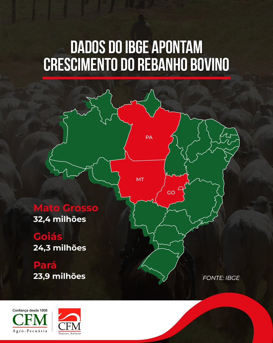 agrocfm's tweet photo. O rebanho bovino no Brasil cresceu 3,1% em 2021, aponta a Pesquisa da Pecuária Municipal, do IBGE. Com isso, atingiu 224,6 milhões de cabeças. MT (32,4 milhões cab.), GO (24,3 milhões cab.) e PA (23,9 milhões cab.) são os líderes em animais.
#AgroCFM #NeloreCFM #TourosCFM https://t.co/B4dWaEKrZ9