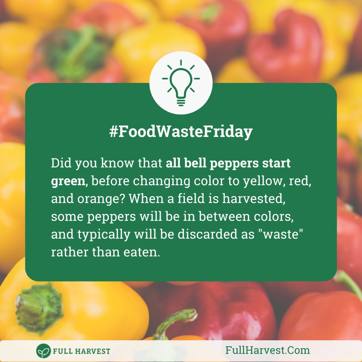 Full Harvest tweet media