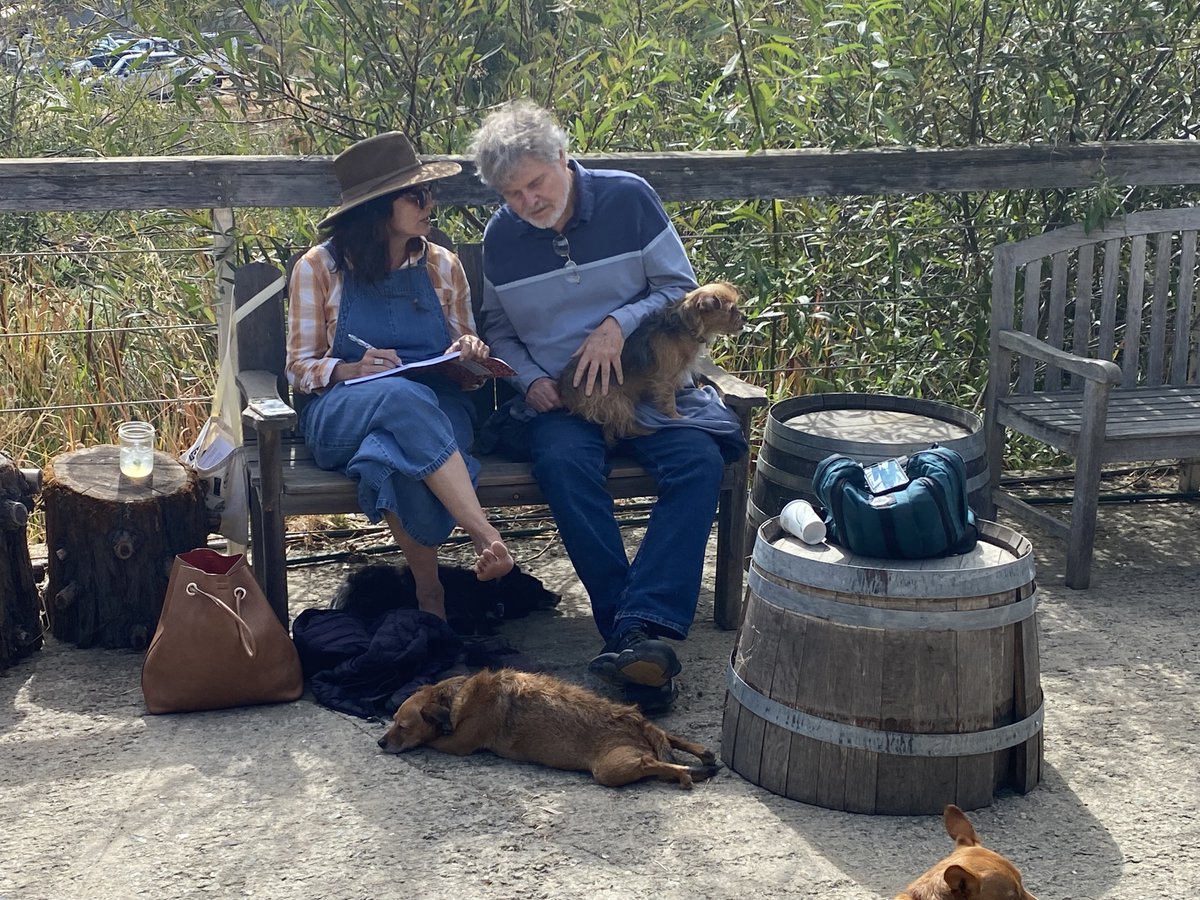 Bay Area Green Tours, 501c3🌱 tweet media