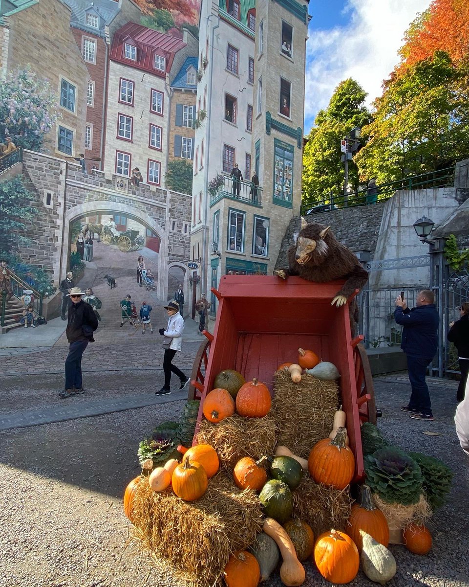 SuccessForB's tweet photo. Loving Quebec @cunardline https://t.co/T79rb9Pq7W