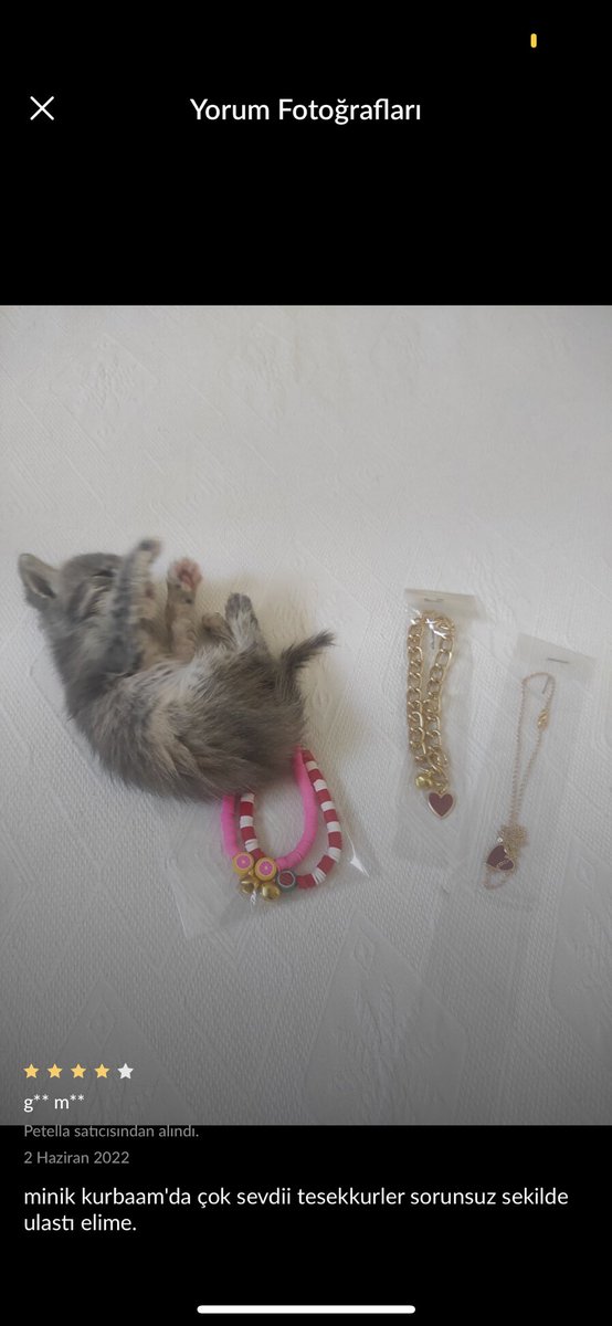mimarhanim's tweet photo. Sıkıldığımda trendyolda kedi ürünlerine gelen yorumlara bakıyorum. https://t.co/YWekstsaKX