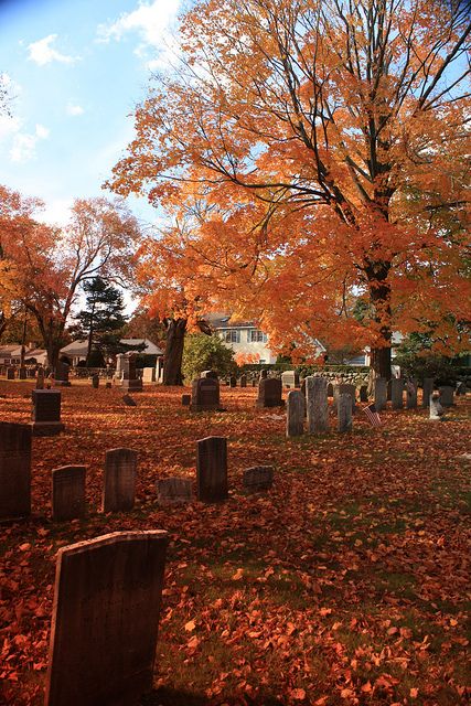 softdeIicacy's tweet photo. it’s almost october!
🍁 .  ✧ ⋆  🎃 ⭒  🐈‍⬛  ⊹ ˚   👻  ✩   ⋆ 🕸️
 ✩  🕷️ .    ˚   ✧     🍁   ♡  🎃˚      ·  🐈‍⬛ 
👻  ⋆ ♡  ⊹     .    🕸️  ✩.    🍁   ✧ 　🎃 https://t.co/SkPOyMntrl