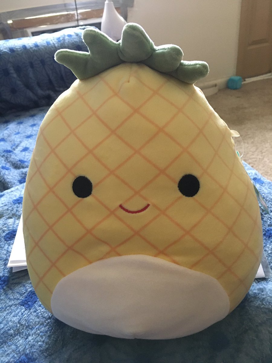 NcisKnight's tweet photo. 🍍@katrinalaw birthday luck 🍀 Helped win this squishmallow out of the claw machine today!! Thank you @katrinalaw and I named it Katrina and it’s birthday is today!! Yay #NCIS #nciscrossover #squishmallow https://t.co/3eicxhz8bj