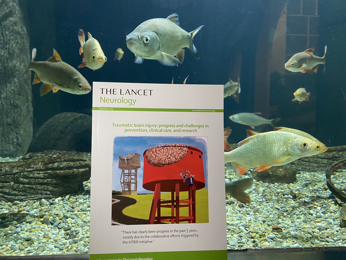 Virginia Newcombe (@vfjn2) on Twitter photo New commission showcasing knowledge progression about TBI over past 5yrs. Cover represents fish bowl analogy of difficulties in understanding the realities of our consciousness — one cannot see the whole from inside the fish bowl. <a href="/lancetneurology/">LancetNeurology</a> <a href="/CenterTBI/">CENTER-TBI</a> #TBI New commission showcasing knowledge progression about TBI over past 5yrs. Cover represents fish bowl analogy of difficulties in understanding the realities of our consciousness — one cannot see the whole from inside the fish bowl. <a href="/lancetneurology/">LancetNeurology</a> <a href="/CenterTBI/">CENTER-TBI</a> #TBI