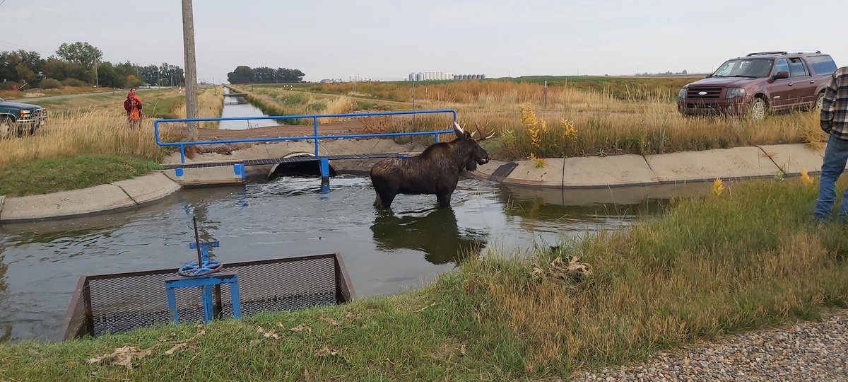 Casey Koomen tweet media