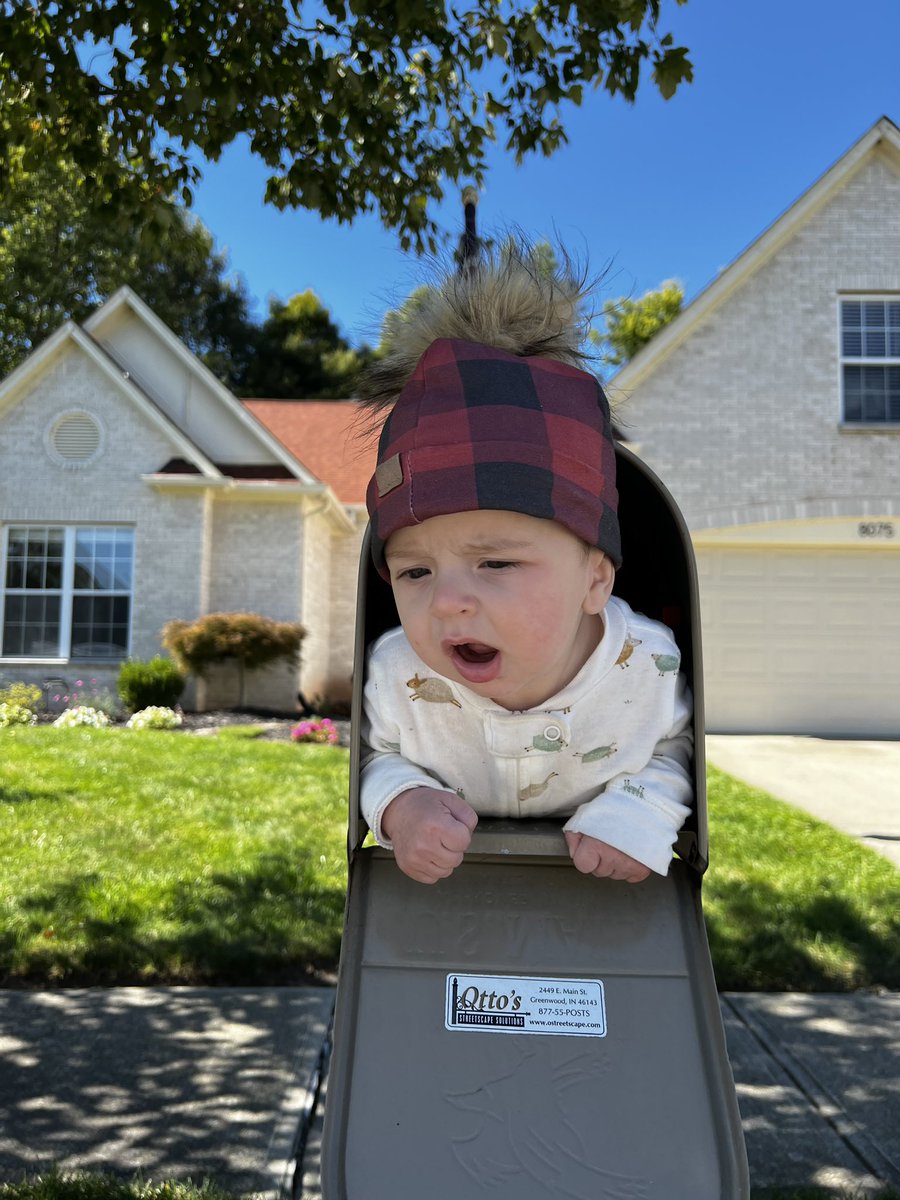 maryhudsons's tweet photo. I got a very special delivery today ❤️ https://t.co/vG14qLz7RL