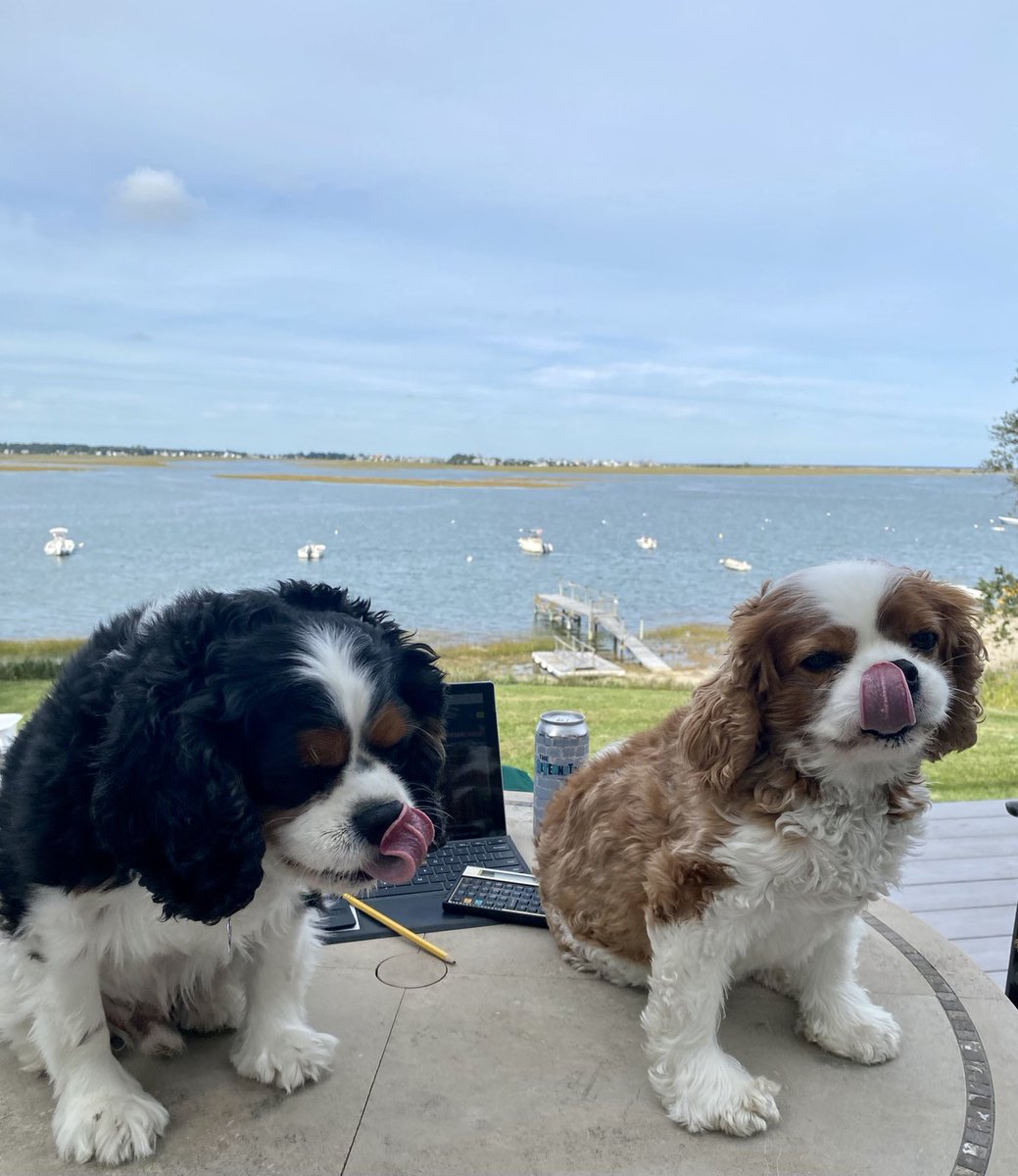 ArthurHoganIII's tweet photo. That’s a wrap The interns think it might be a great time to Pencils down / Beers up ‼️#PDBH @stellwagenbeer Have a Great Weekend‼️ Go @Patriots ‼️ https://t.co/KJNL7cebzO
